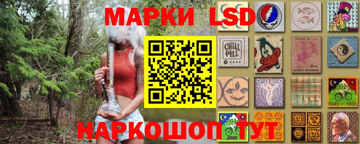 купить  сайты  Наркотические марки 1,8мг  Вход с VPN  Лесной 