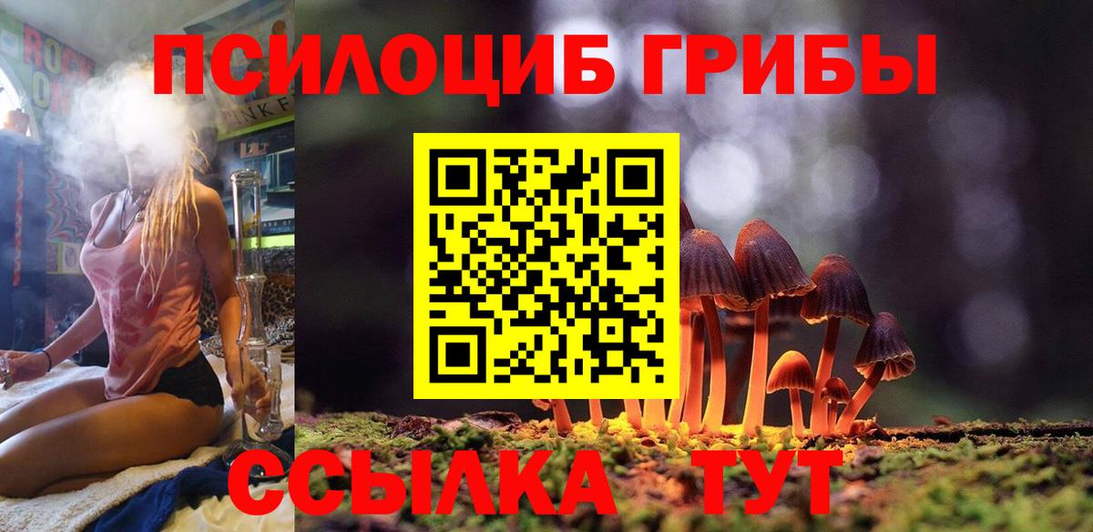 Галлюциногенные грибы прущие грибы Лесной